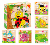 The Clever Cubes